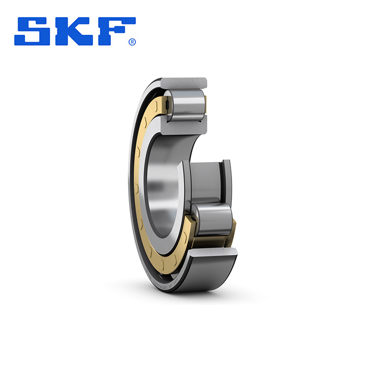 SKF N圆柱滚子轴承ECM